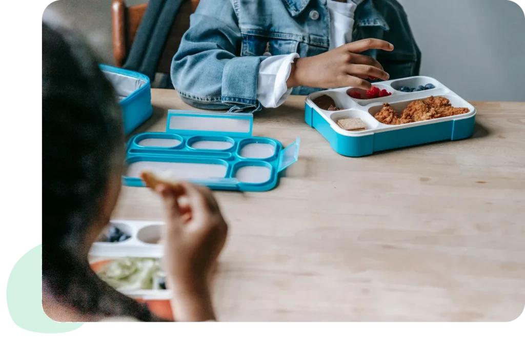 Packed lunch box for a young child